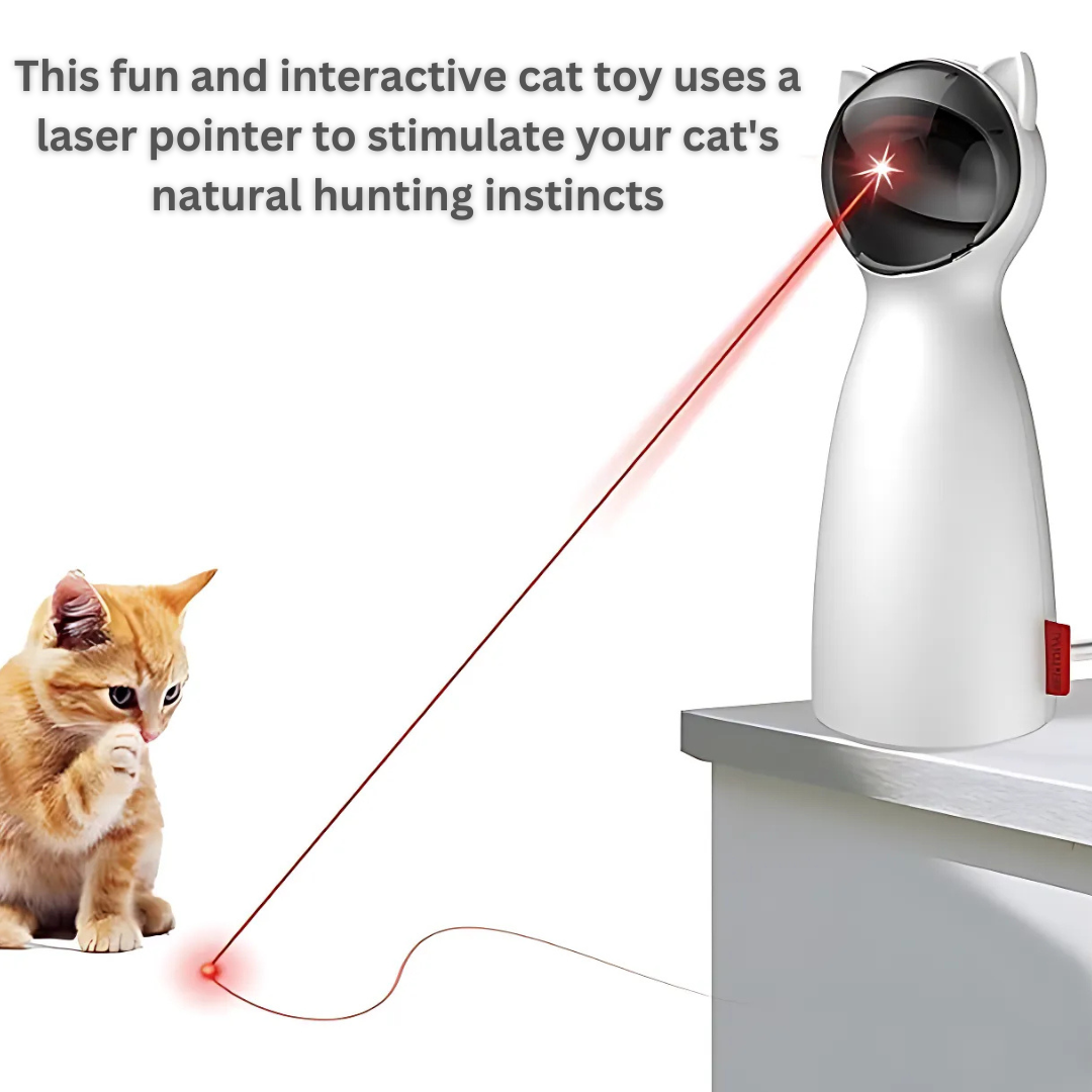 Laser Cat Toy